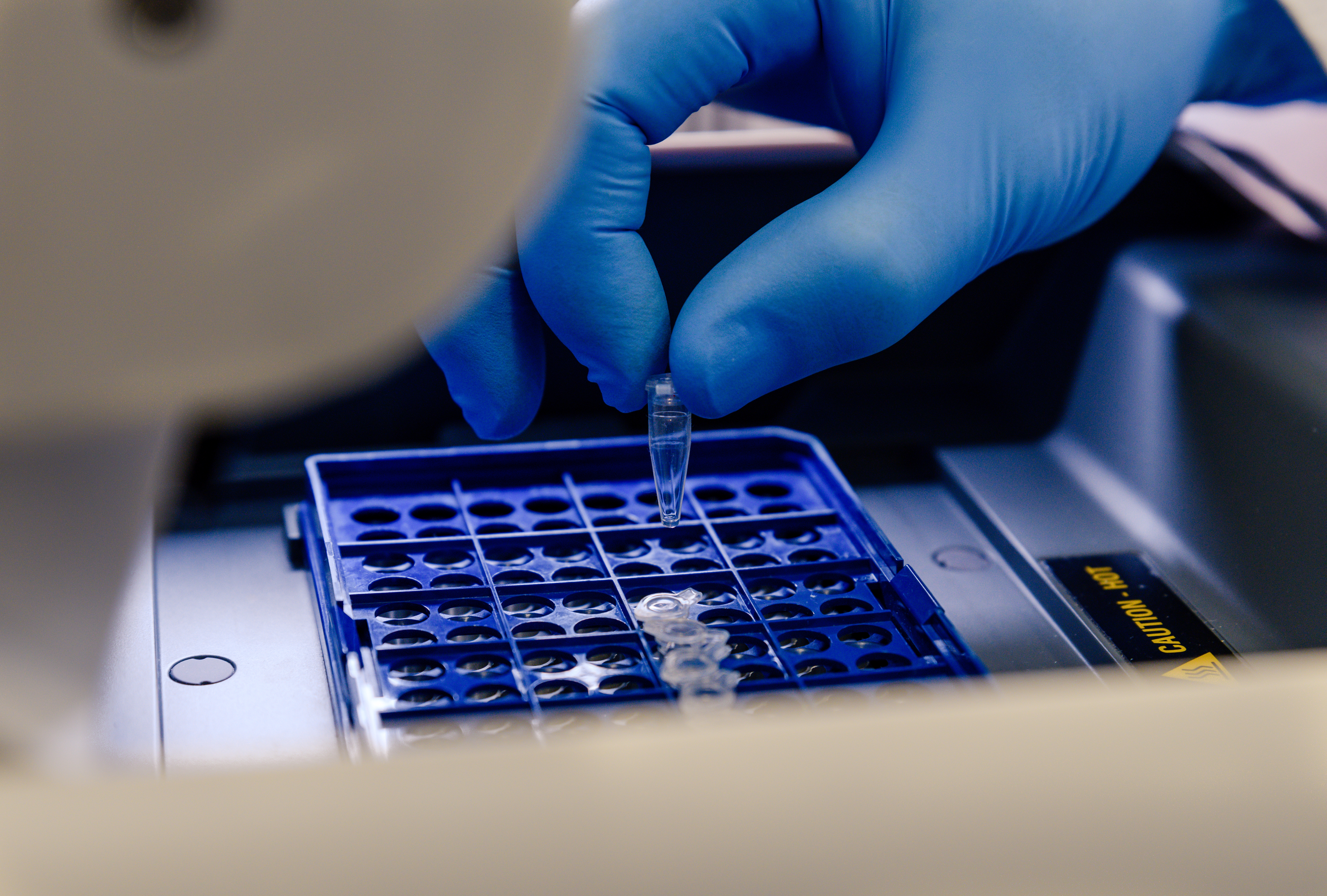 Microbiology Method Development Workflow